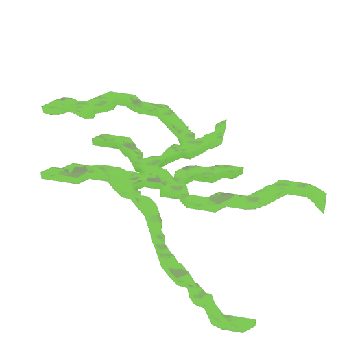Vines Image