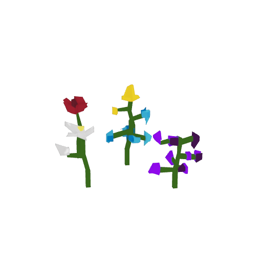 Flowers Image