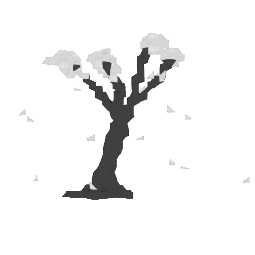 Pale oak Image