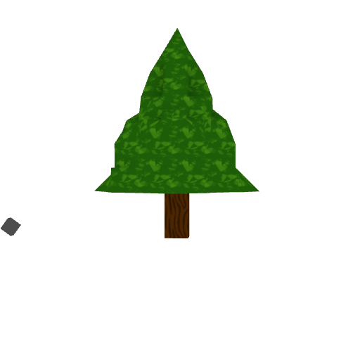 Pine tree Image