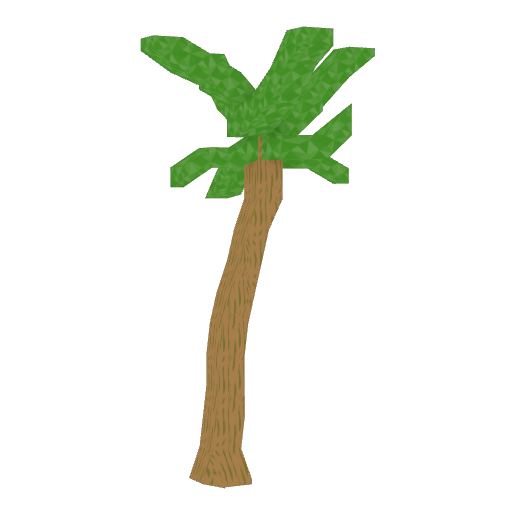 Palm  tree Image