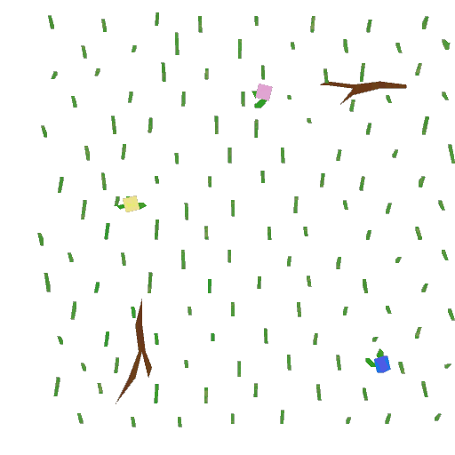 Grass Patch 3